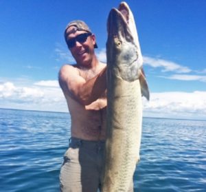 State Record Monster Muskie Found On Mille Lacs | OutDoors Unlimited ...