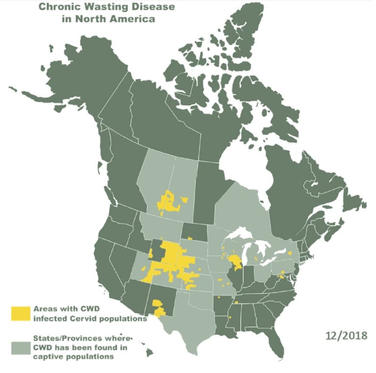 Boone and Crockett Club Backing CWD Legislation | OutDoors Unlimited ...