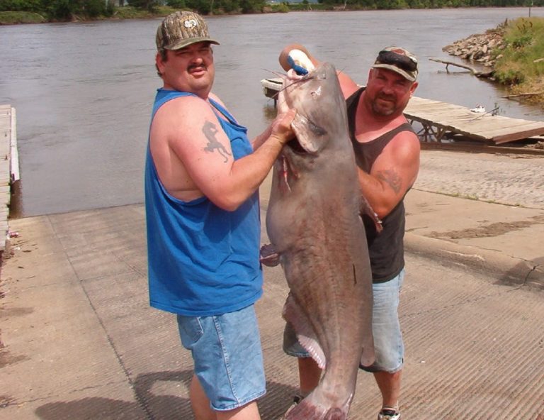 Iowa DNR Iceout channel catfish are biting OutDoors Unlimited