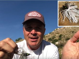 Paddle Tail Swimbaits for Spring Bass with Shin Fukae, Video